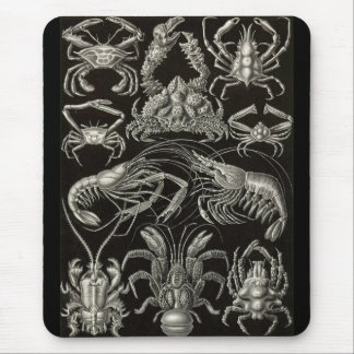 Ernst Haeckel - Decapoda Mousepad