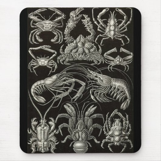 Ernst Haeckel - Decapoda Mousepad (Vorne)