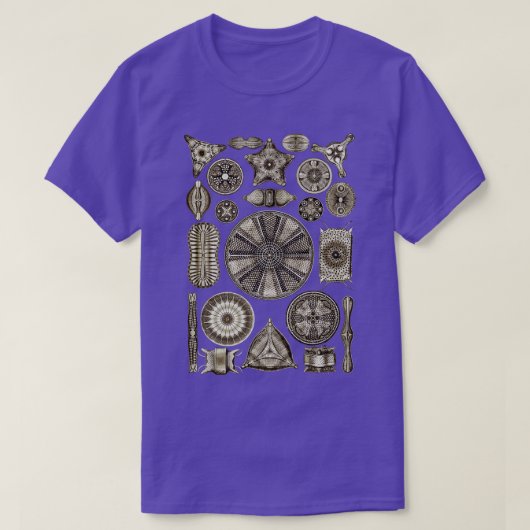 Ernst Haeckel Diatel Vintag Brown T-Shirt (Design vorne)