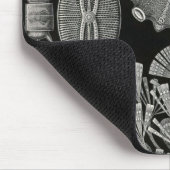 Ernst Haeckel - Diatomea2 Detail1 Mousepad (Ecke)