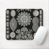 Ernst Haeckel - Diatomea2 Detail1 Mousepad (Mit Mouse)