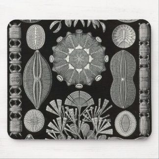Ernst Haeckel - Diatomea2 Detail1 Mousepad