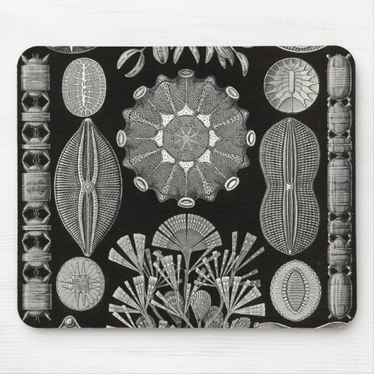 Ernst Haeckel - Diatomea2 Detail1 Mousepad (Vorne)