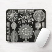 Ernst Haeckel - Diatomea2 Detail3 Mousepad (Mit Mouse)