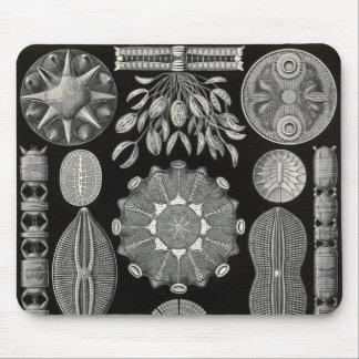 Ernst Haeckel - Diatomea2 Detail3 Mousepad