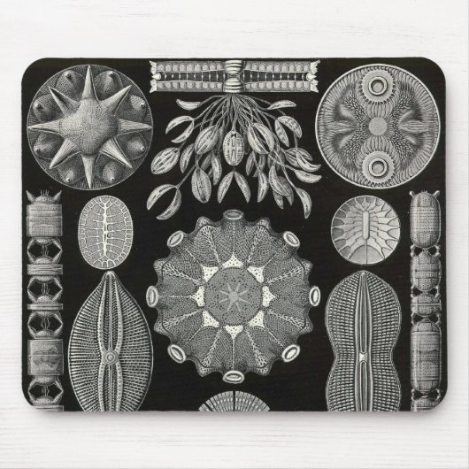 Ernst Haeckel - Diatomea2 Detail3 Mousepad (Vorne)