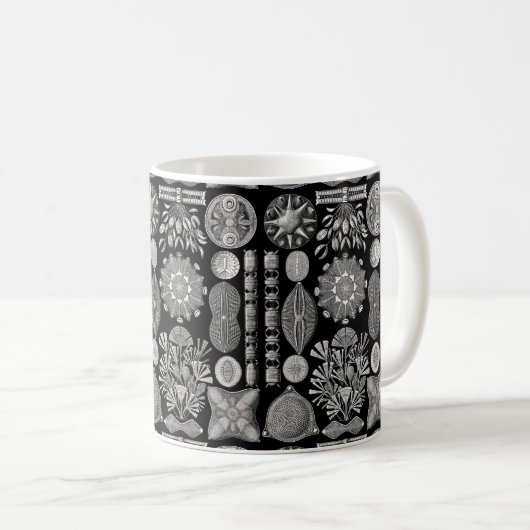 Ernst Haeckel Diatomea Kaffeetasse (VorderseiteRechts)