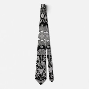 Ernst Haeckel Diatomea Krawatte