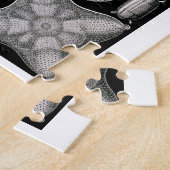 Ernst Haeckel Diatomea Puzzle (Seite)