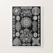 Ernst Haeckel Diatomea Puzzle (Vertikal)