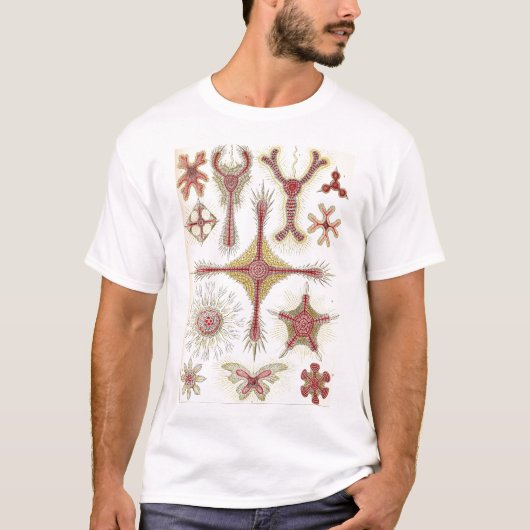 Ernst Haeckel - Discoidea T-Shirt (Vorderseite)