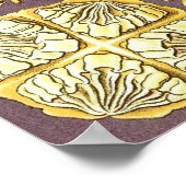 Ernst Haeckel - Discomedusae3 Poster (Ecke)