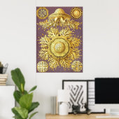 Ernst Haeckel - Discomedusae3 Poster (Heimbüro)