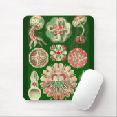 Ernst Haeckel - Discomedusae5 Mousepad (Mit Mouse)