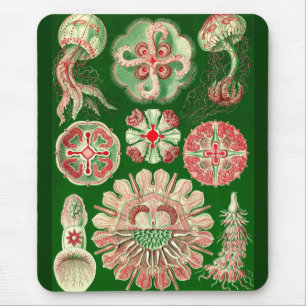 Ernst Haeckel - Discomedusae5 Mousepad