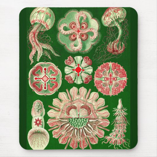 Ernst Haeckel - Discomedusae5 Mousepad (Vorne)