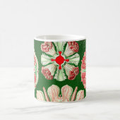 Ernst Haeckel Discomedusae (Aurelia) Kaffeetasse (Mittel)