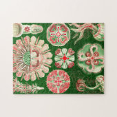 Ernst Haeckel Discomedusae (Aurelia) Puzzle (Horizontal)