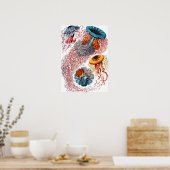 Ernst Haeckel Discomedusae Jellyfish Poster (Küche)