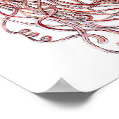 Ernst Haeckel Discomedusae Poster (Ecke)