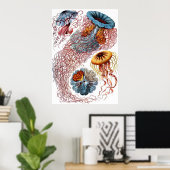 Ernst Haeckel Discomedusae Poster (Heimbüro)