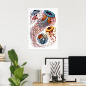 Ernst Haeckel Discomedusae Poster (Heimbüro)