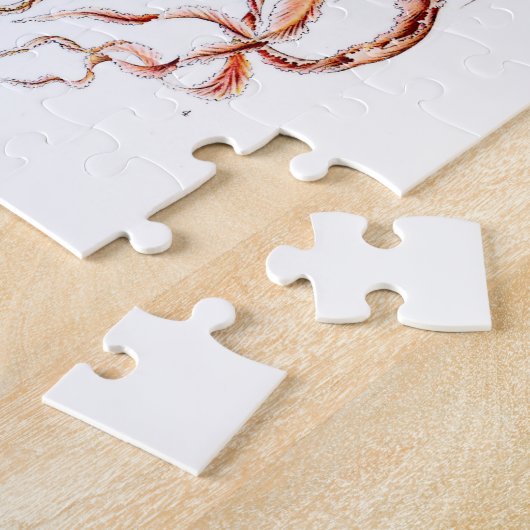 Ernst Haeckel Discomedusae Puzzle (Seite)