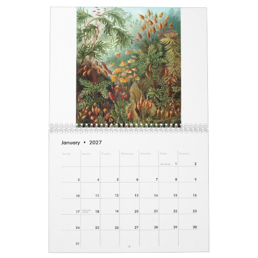 Ernst Haeckel-Drucke Kalender (Jan 2027)