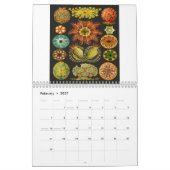 Ernst Haeckel-Drucke Kalender (Feb 2027)