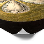 Ernst Haeckel - Echinidea Poster (Ecke)