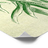 Ernst Haeckel - Filicinae Poster (Ecke)