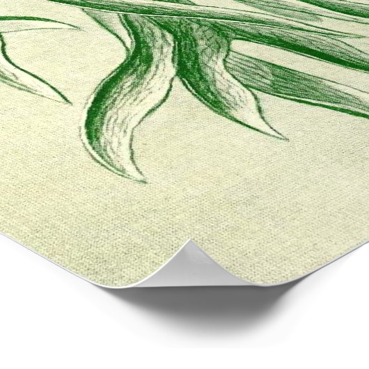 Ernst Haeckel - Filicinae Poster (Ecke)