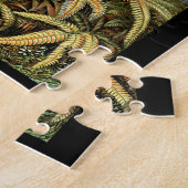 Ernst Haeckel Filicinae Puzzle (Seite)