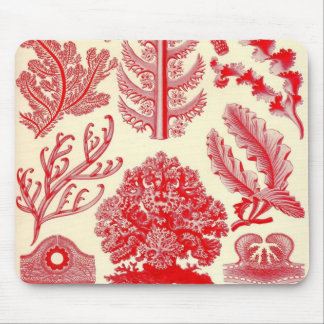 Ernst Haeckel - Florideae Sonderkommando Mousepad