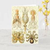 Ernst Haeckel - Gamochonia Karte (Gelbe Blume)