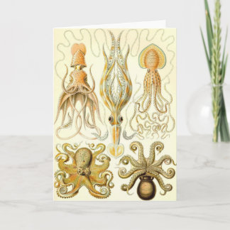 Ernst Haeckel - Gamochonia Karte