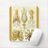Ernst Haeckel - Gamochonia Mousepad (Mit Mouse)