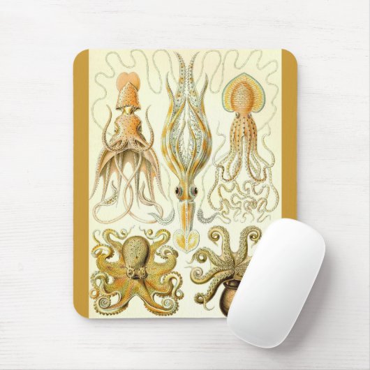 Ernst Haeckel - Gamochonia Mousepad (Mit Mouse)