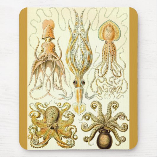 Ernst Haeckel - Gamochonia Mousepad (Vorne)