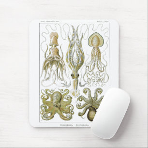 Ernst Haeckel Gamochonia Octopus & Tintenfisch Mousepad