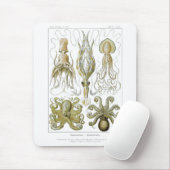 Ernst Haeckel Gamochonia Octopus & Tintenfisch Mousepad (Mit Mouse)