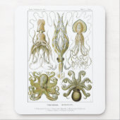 Ernst Haeckel Gamochonia Octopus & Tintenfisch Mousepad (Vorne)