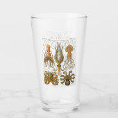 Ernst Haeckel Gamochonia, Oktopus, Tintenfisch Glas (Rückseite)