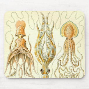 Ernst Haeckel - Gamochonia Sonderkommando Mousepad