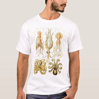 Ernst Haeckel - Gamochonia T-Shirt