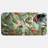 Ernst Haeckel Gorgeous vibranous Hummingbird Case-Mate iPhone Hülle (Rückseite (Horizontal))