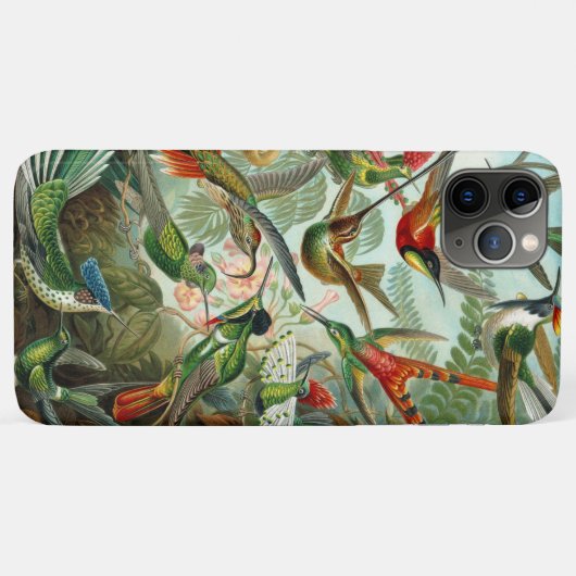 Ernst Haeckel Gorgeous vibranous Hummingbird Case-Mate iPhone Hülle (Rückseite (Horizontal))