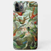 Ernst Haeckel Gorgeous vibranous Hummingbird Case-Mate iPhone Hülle (Rückseite)