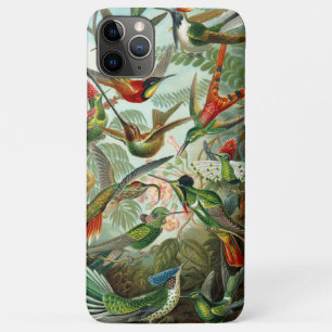 Ernst Haeckel Gorgeous vibranous Hummingbird Case-Mate iPhone Hülle