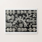 Ernst Haeckel Gorgonia Puzzle (Horizontal)